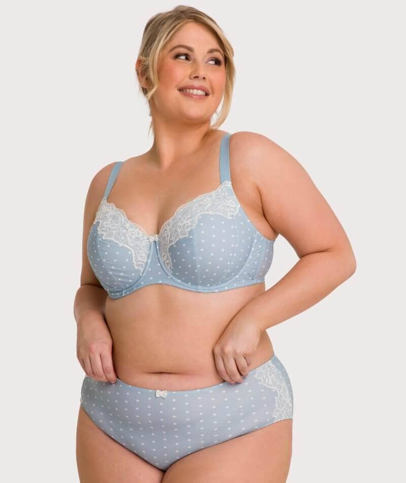 Ava & Audrey Jacqueline Full Brief with Lace - Blue/Ivory - Image 12
