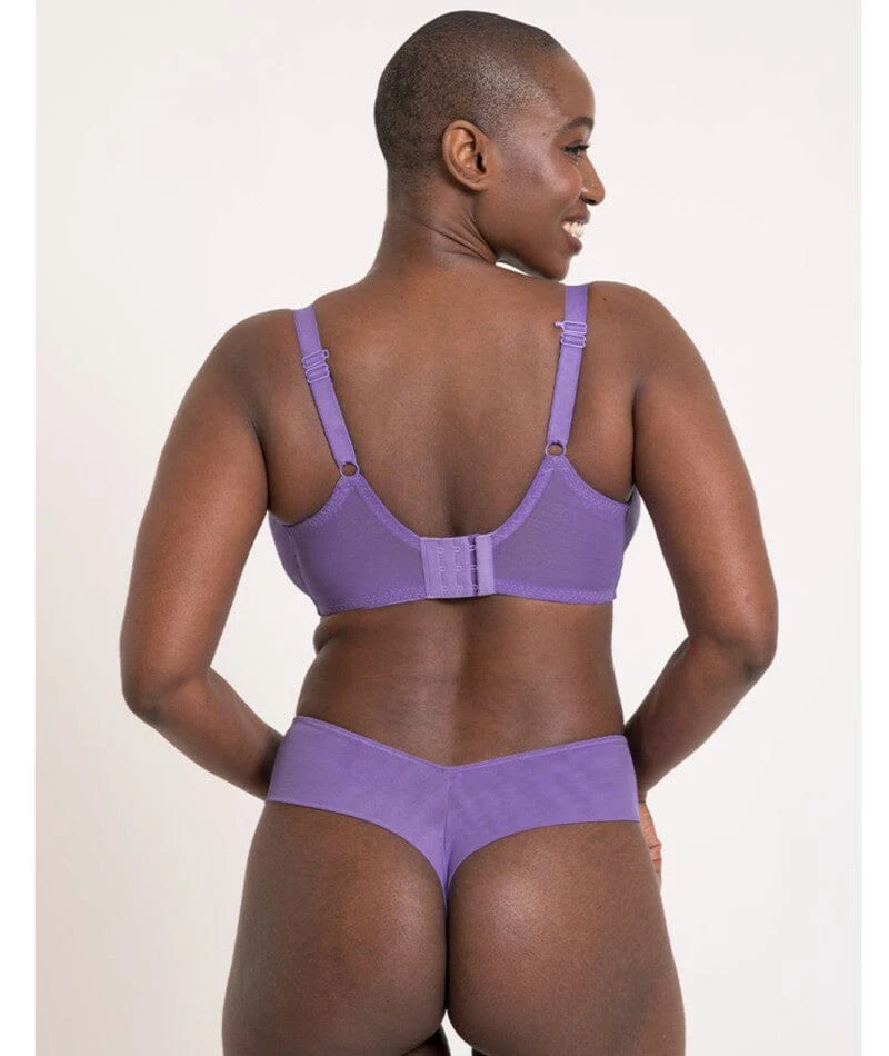 Curvy Kate Flare Deep Thong - Amethyst Purple - Image 3