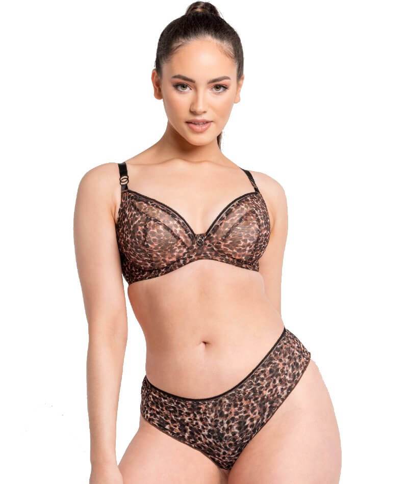 Curvy Kate Lifestyle Short - Animal Print - Image 16