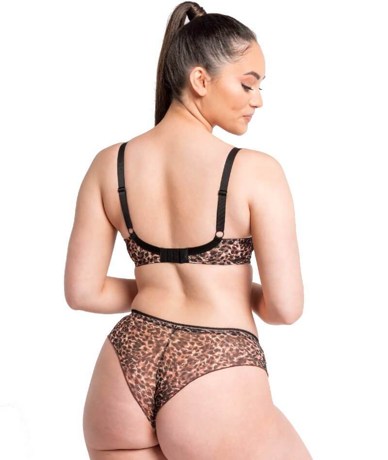 Curvy Kate Lifestyle Short - Animal Print - Image 17