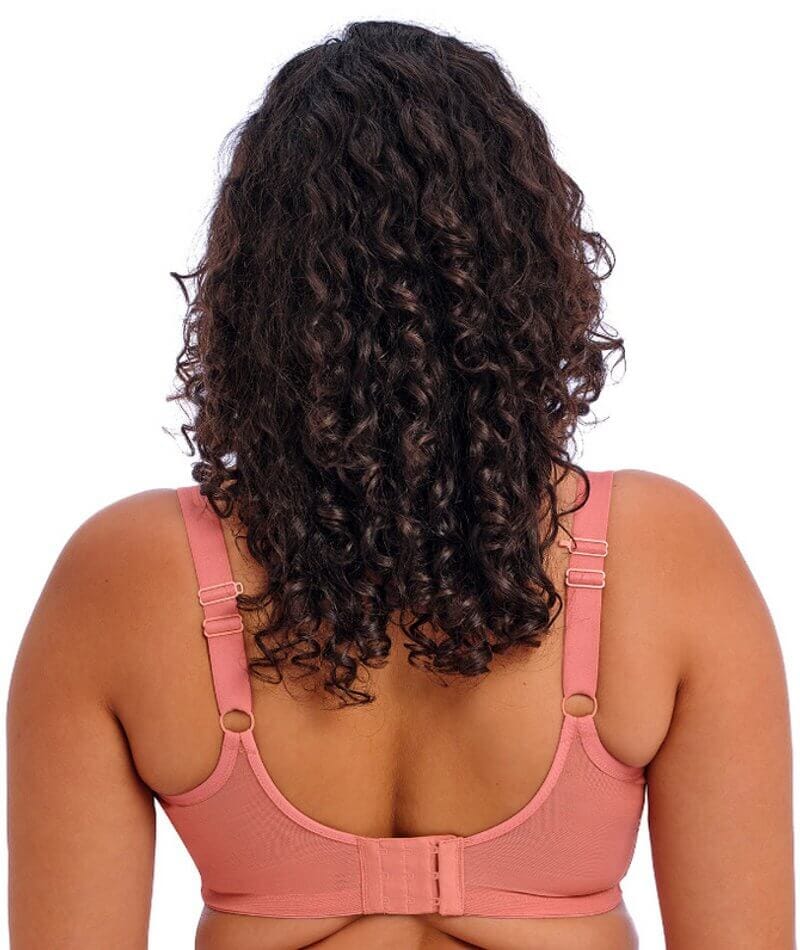 Elomi Matilda Underwired Plunge Bra - Rose Leo - Image 3
