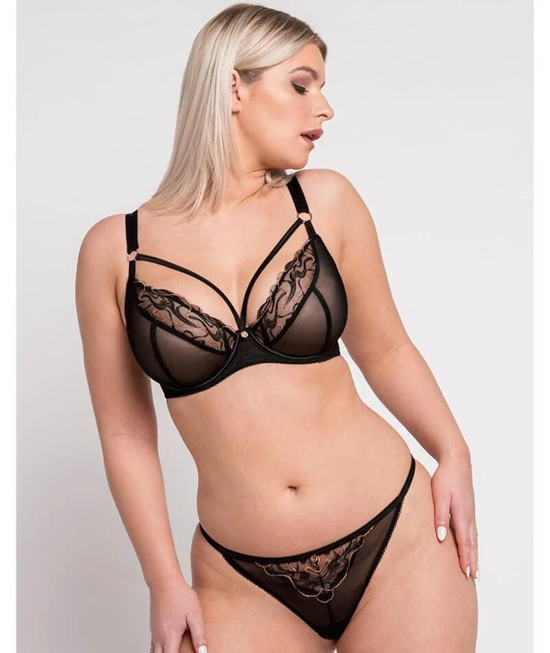 Scantilly Fascinate Plunge Bra - Black - Image 5
