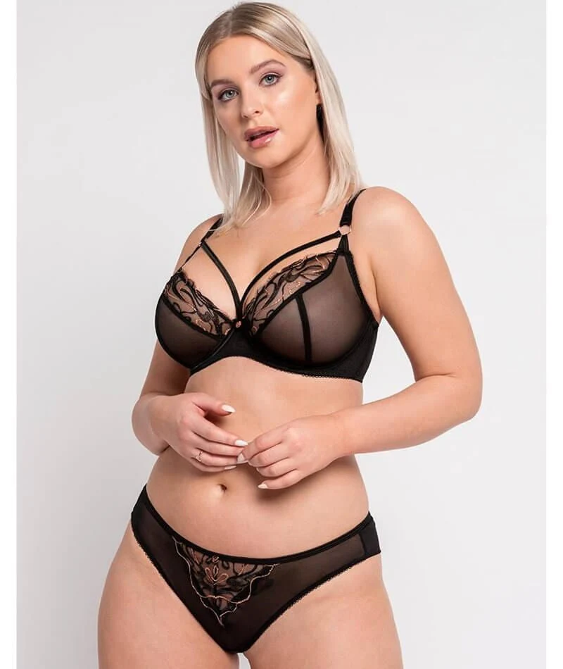 Scantilly Fascinate Plunge Bra - Black - Image 7