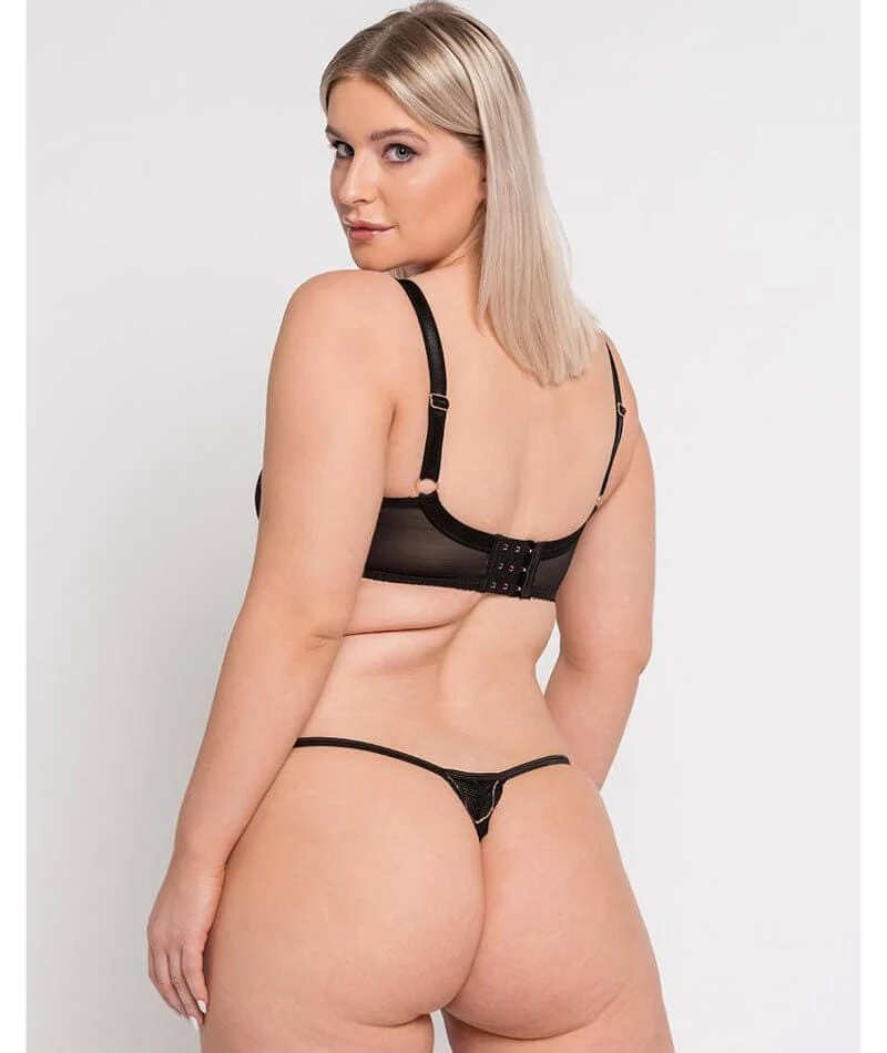 Scantilly Fascinate Plunge Bra - Black - Image 8