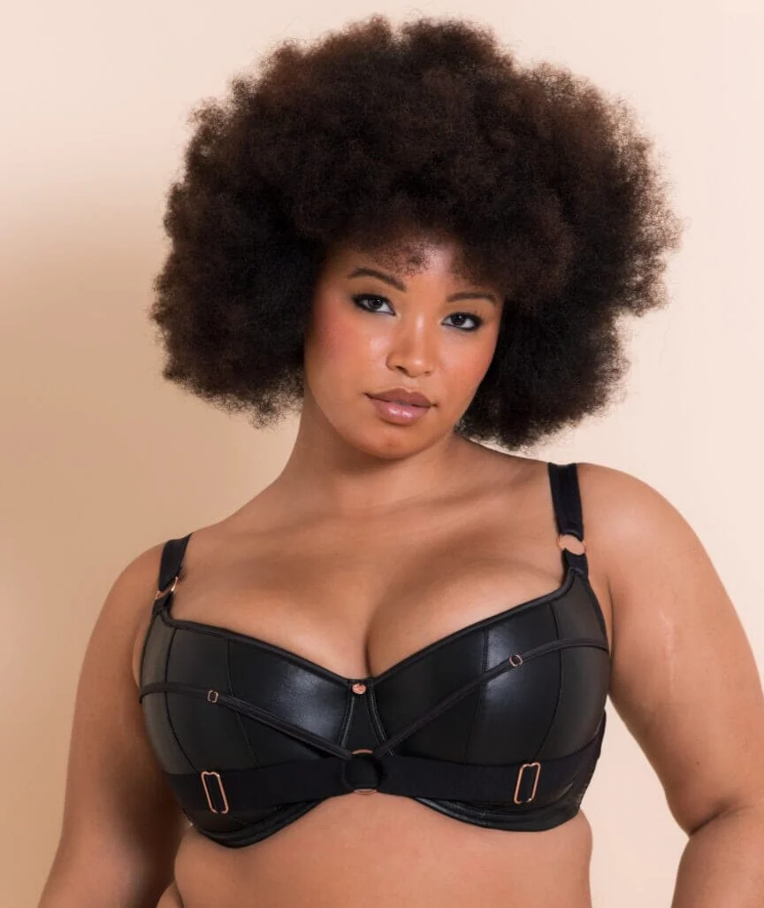 Scantilly Harnessed Padded Half Cup Bra - Black