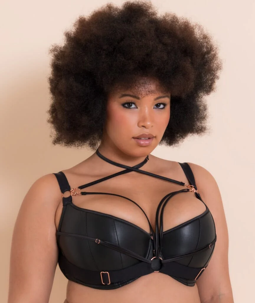 Scantilly Harnessed Padded Half Cup Bra - Black - Image 3