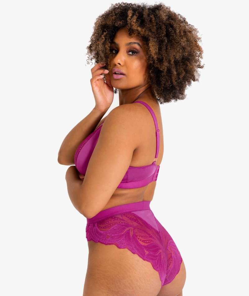 Scantilly Indulgence High Waist Brief - Orchid/Latte - Image 6
