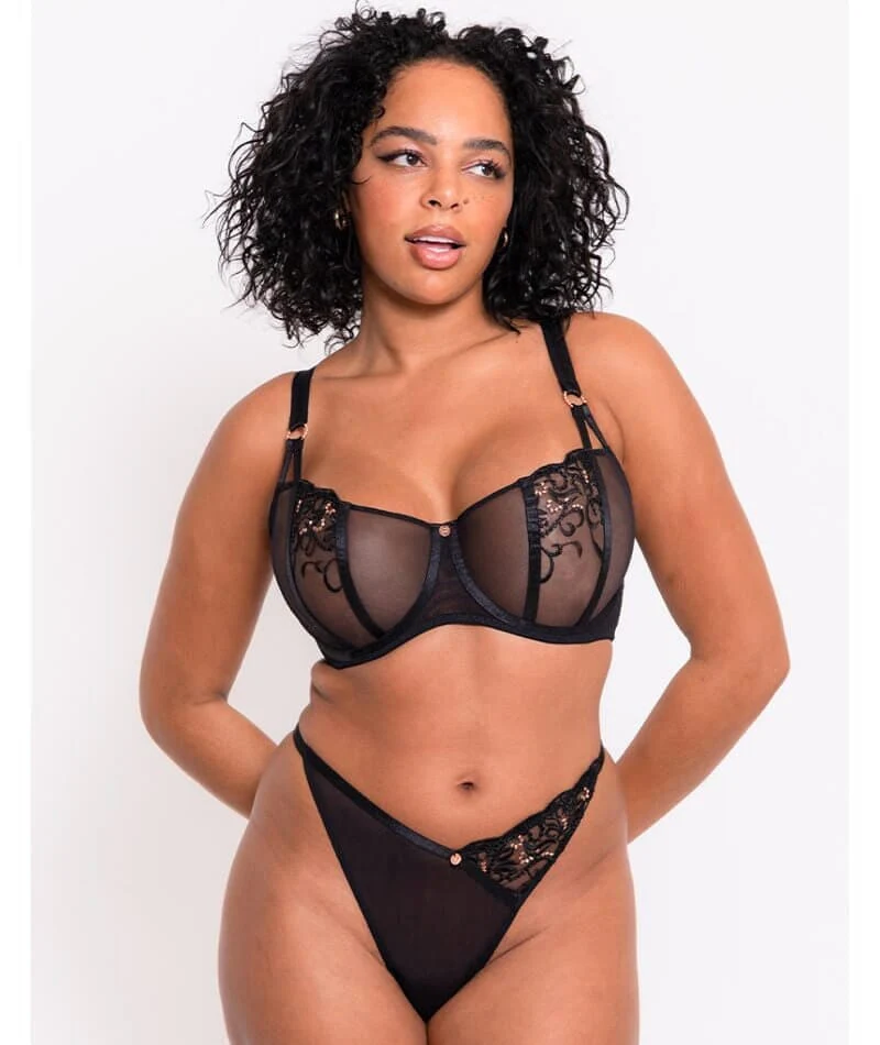 Scantilly Ornate Thong - Black - Image 3