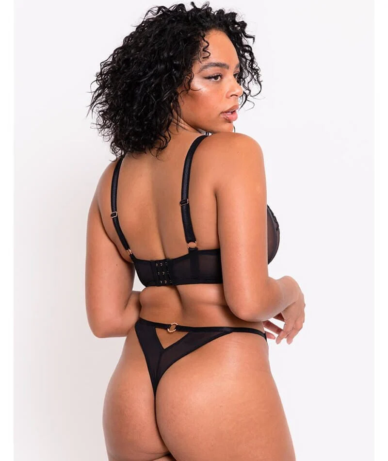 Scantilly Ornate Thong - Black - Image 4