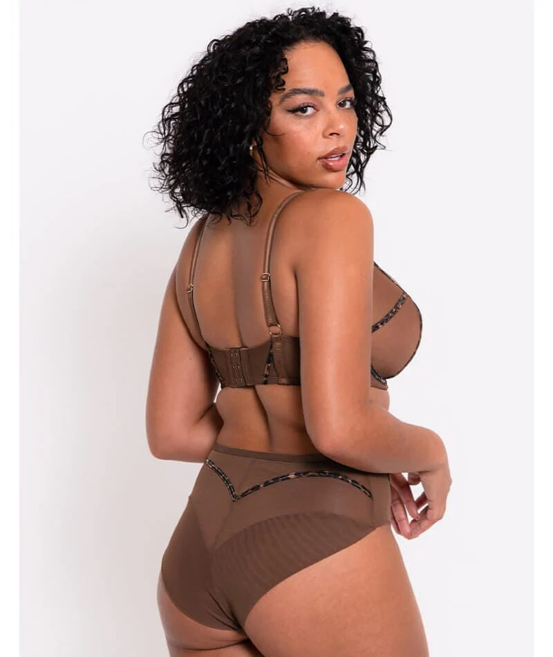 Scantilly Senses High Waist Brief - Leopard Brown - Image 4