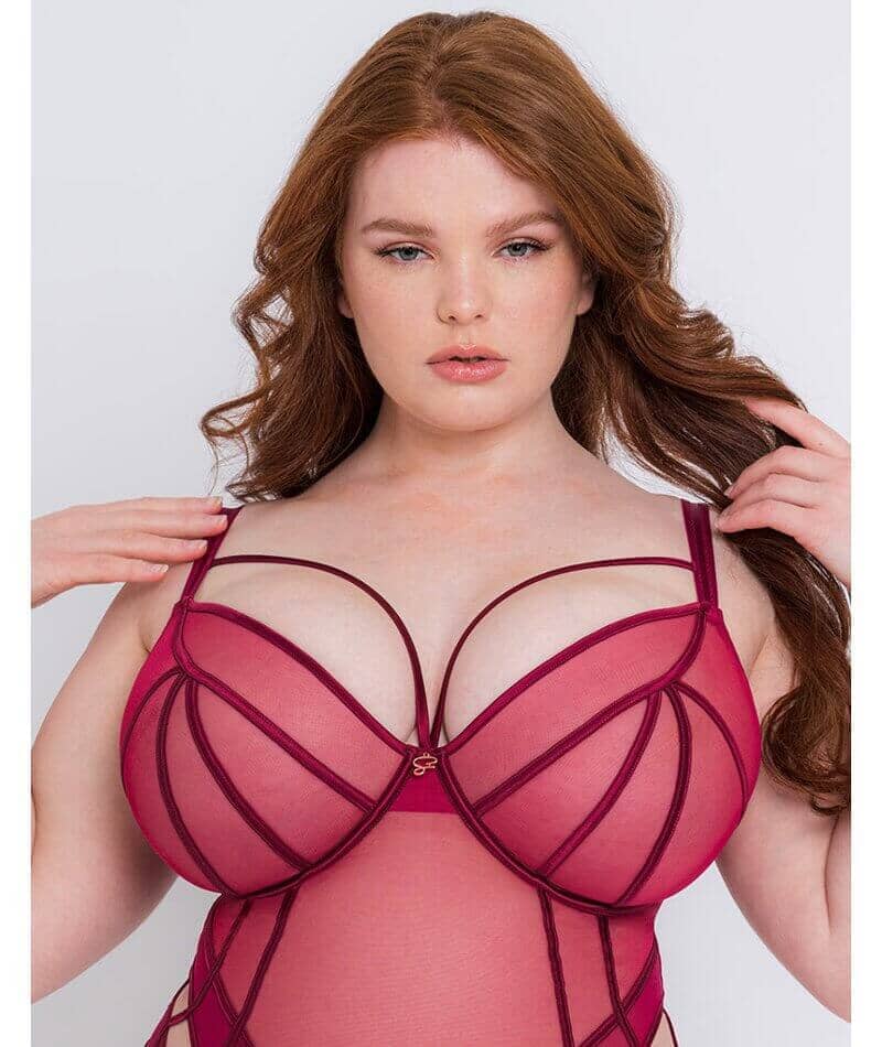 Scantilly Senses Plunge Bodysuit - Cherry Purple - Image 3
