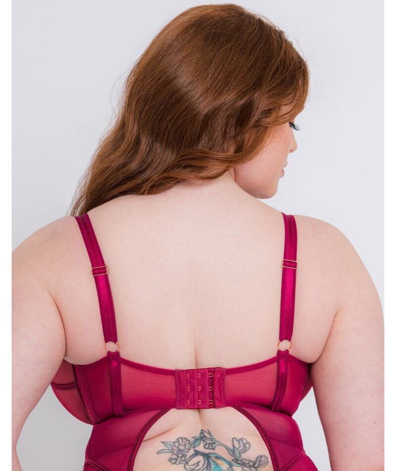 Scantilly Senses Plunge Bodysuit - Cherry Purple - Image 4