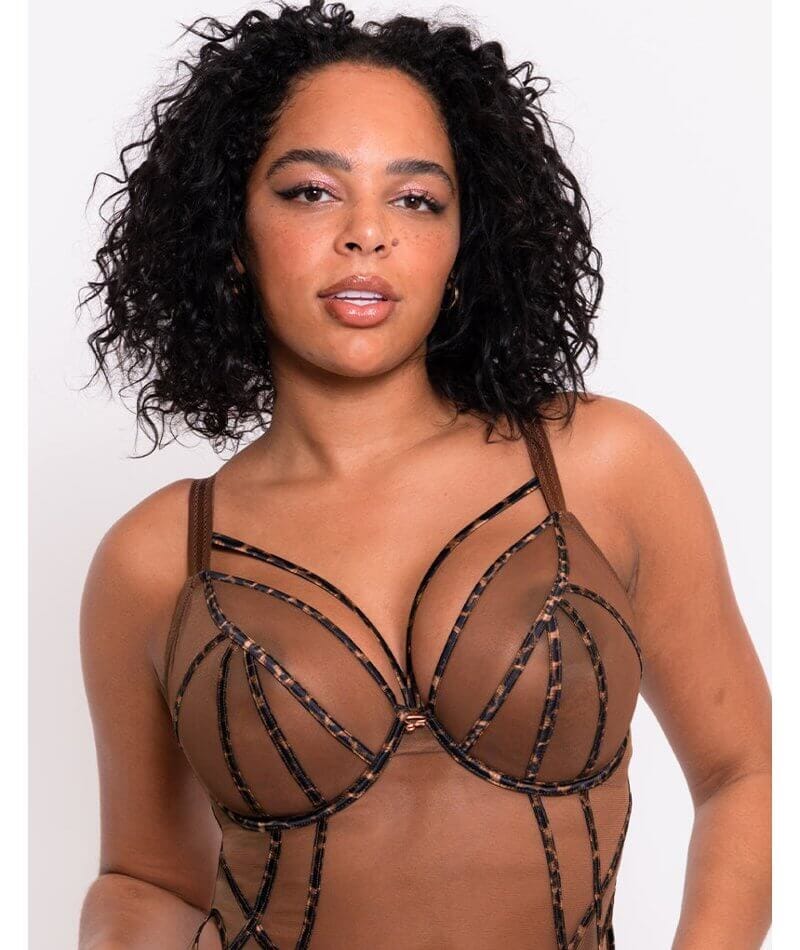 Scantilly Senses Plunge Bodysuit - Leopard Brown - Image 4