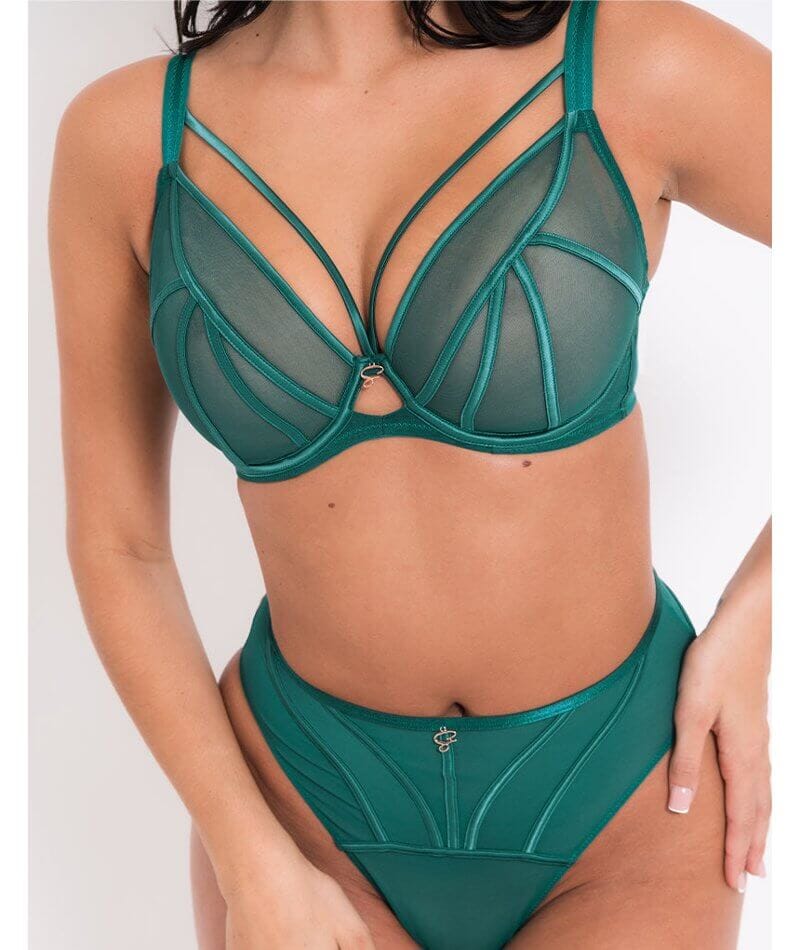 Scantilly Senses Plunge Bra - Verdigris Green - Image 5