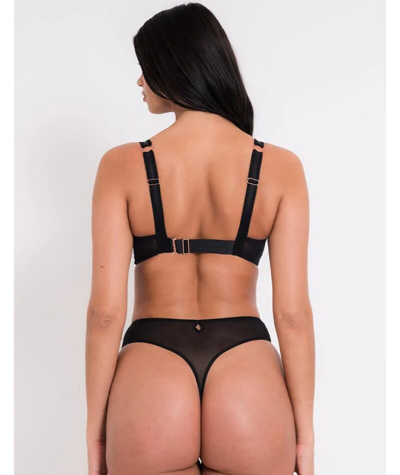 Scantilly Sheer Flora Deep Thong - Black - Image 4