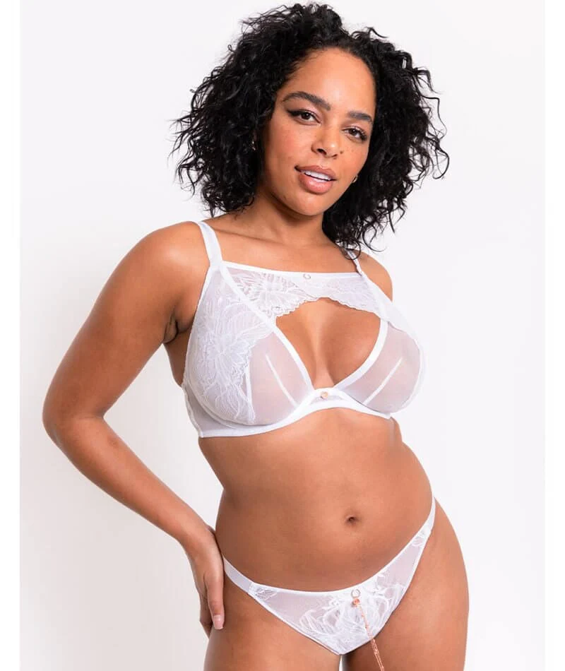 Scantilly Unveiled Brazilian Brief - White - Image 3