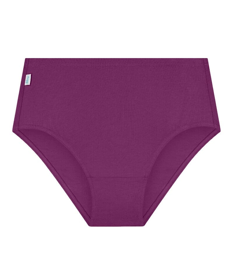 Sloggi Hikini 2 Pack Brief - Violet - Dark Combination - Image 8